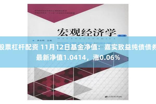 股票杠杆配资 11月12日基金净值：嘉实致益纯债债券最新净值1.0414，涨0.06%