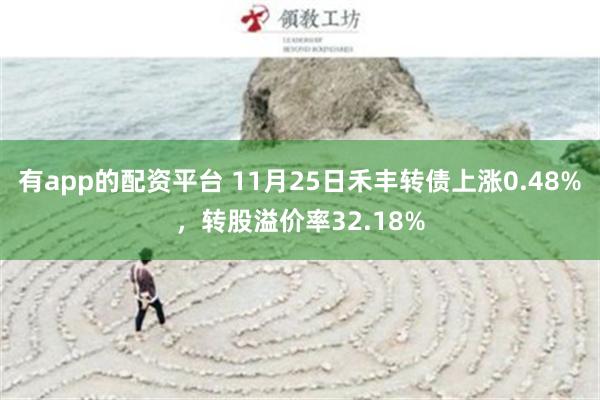 有app的配资平台 11月25日禾丰转债上涨0.48%，转股溢价率32.18%