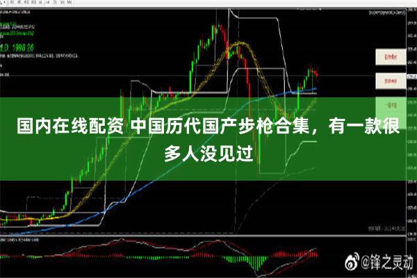 国内在线配资 中国历代国产步枪合集，有一款很多人没见过