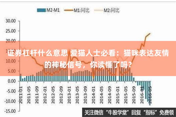 证券杠杆什么意思 爱猫人士必看：猫咪表达友情的神秘信号，你读懂了吗？