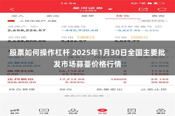 股票如何操作杠杆 2025年1月30日全国主要批发市场蒜薹价格行情