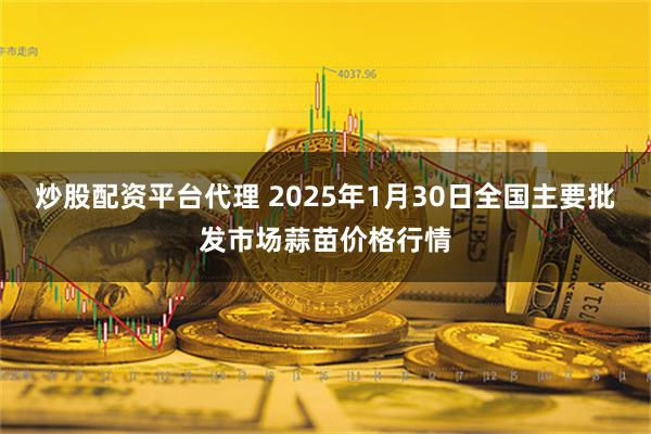 炒股配资平台代理 2025年1月30日全国主要批发市场蒜苗价格行情