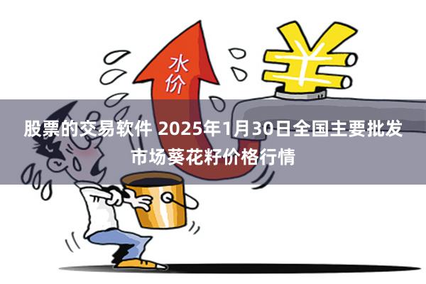 股票的交易软件 2025年1月30日全国主要批发市场葵花籽价格行情