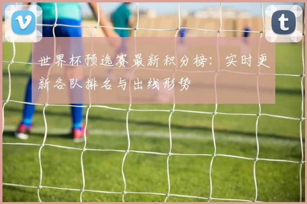 世界杯预选赛最新积分榜：实时更新各队排名与出线形势