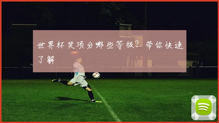 世界杯奖项分哪些等级？带你快速了解