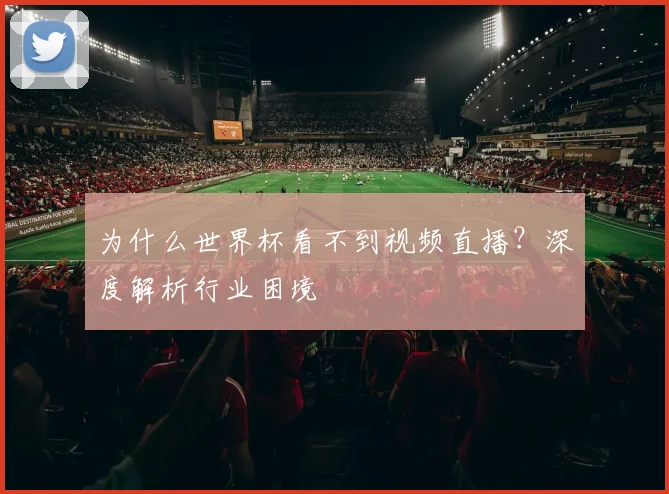 为什么世界杯看不到视频直播？深度解析行业困境