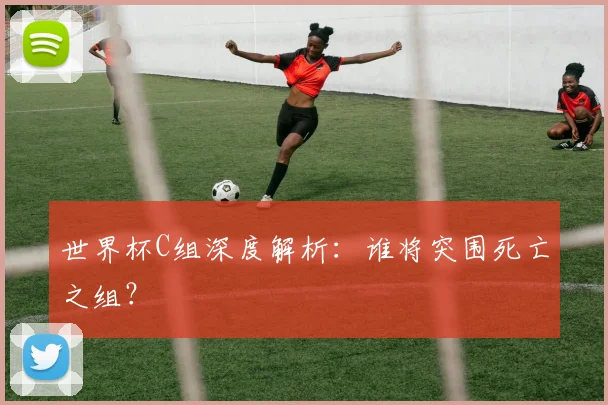 世界杯C组深度解析:谁将突围死亡之组?
