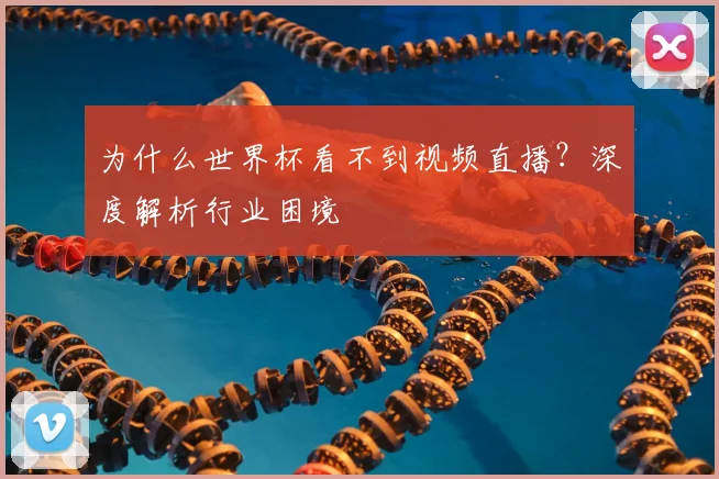 为什么世界杯看不到视频直播？深度解析行业困境